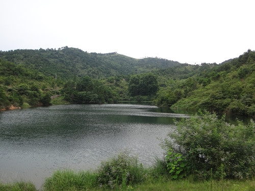 DSC00134_副本.JPG