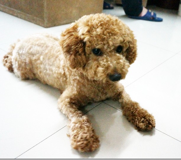 QQ截图20130713181158.jpg
