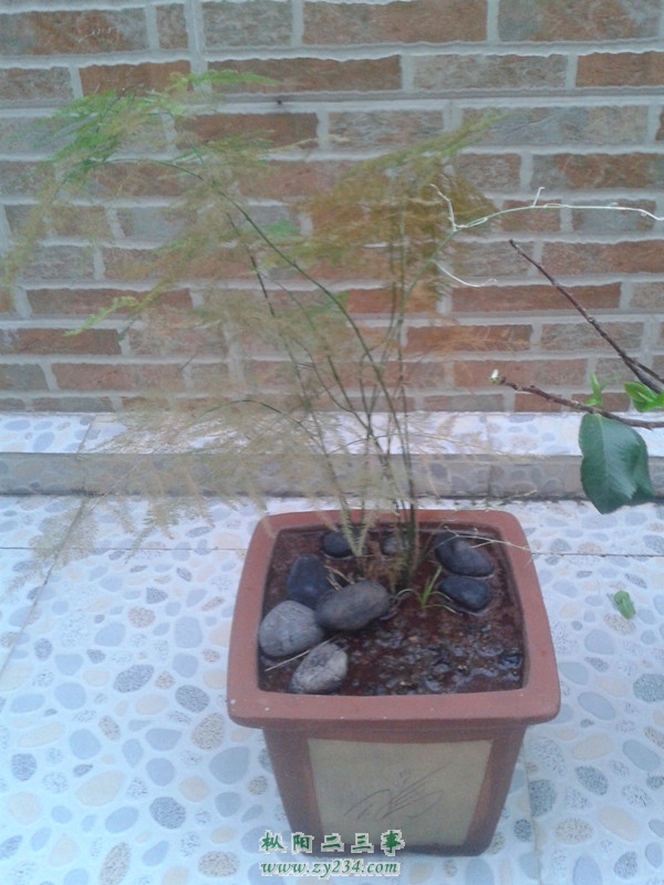 20130824_182313.jpg