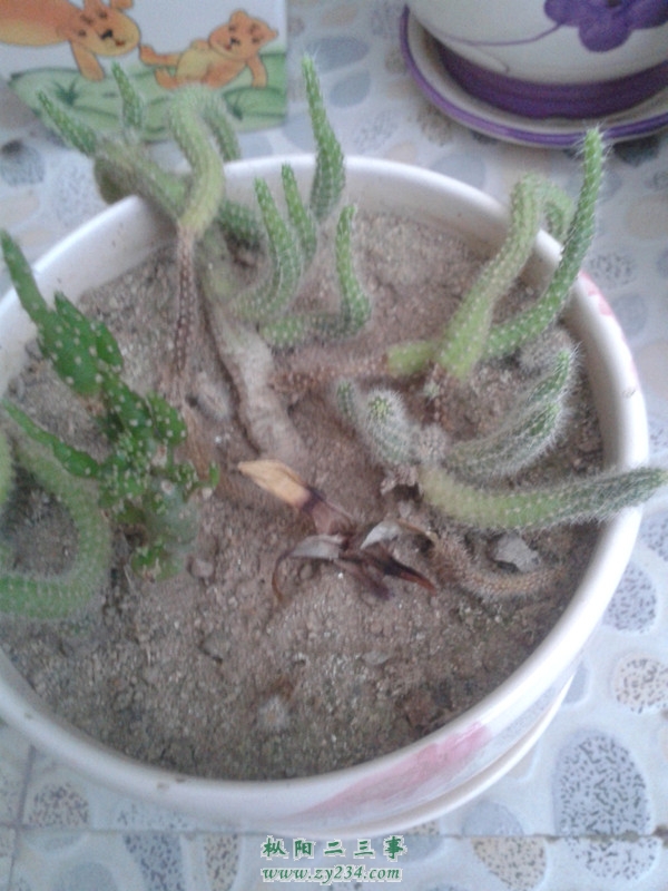 20130824_182426.jpg