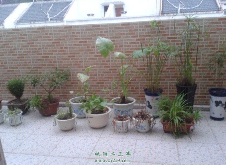 20130824_182445.jpg