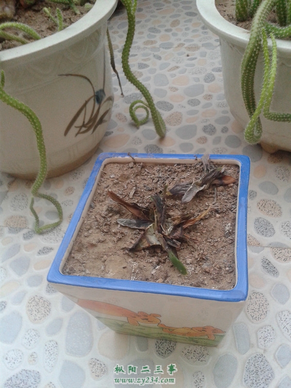20130824_181559.jpg
