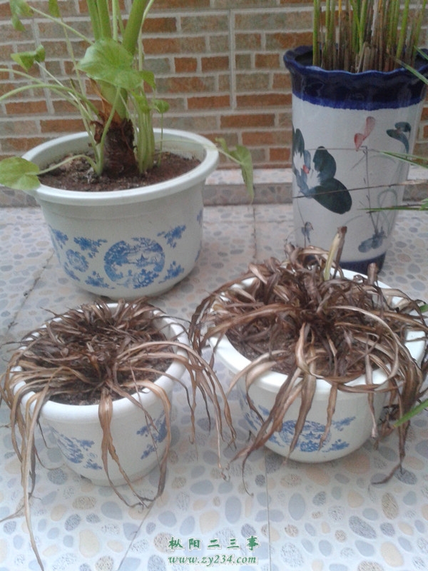 20130824_182259.jpg