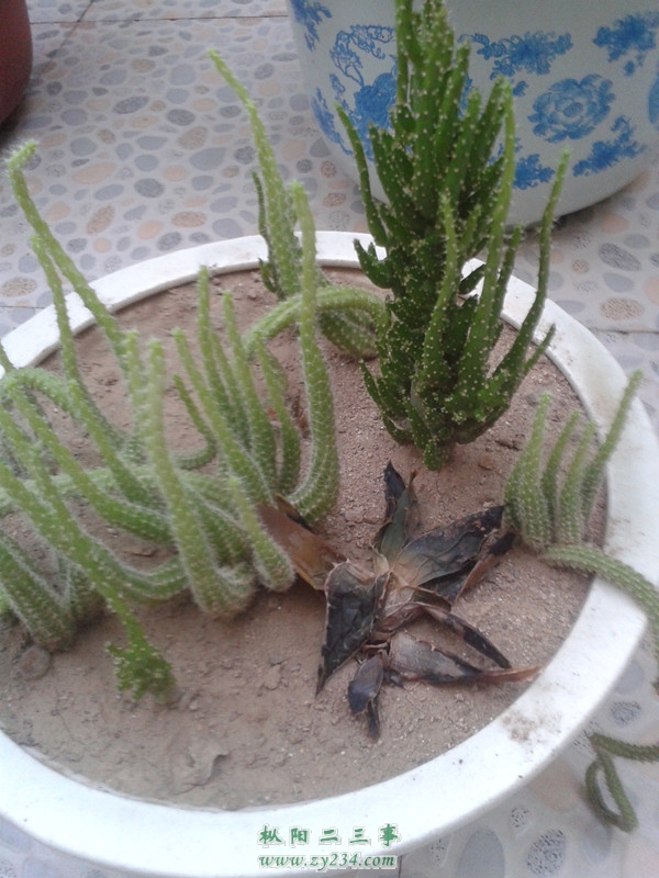 20130824_181607.jpg