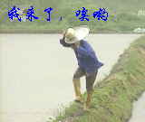 20121210185040.gif
