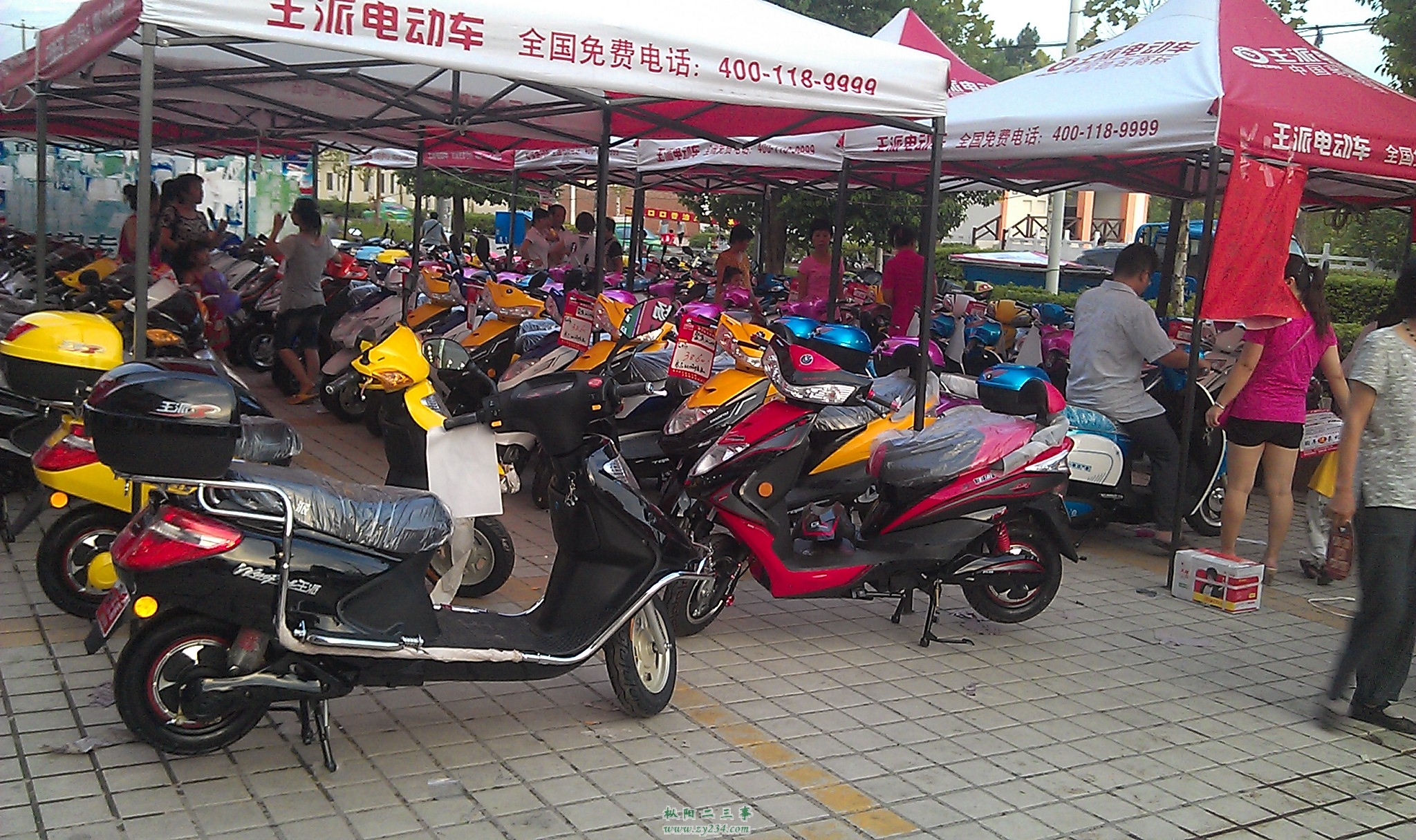 IMAG0063.jpg