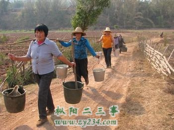 是的.jpg