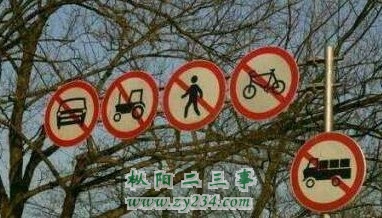 请输入描述