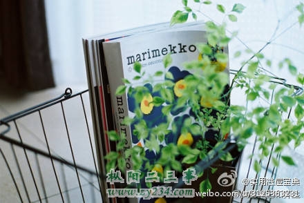 img-e4eaba9882ea7ab096438984659e49c1.jpg