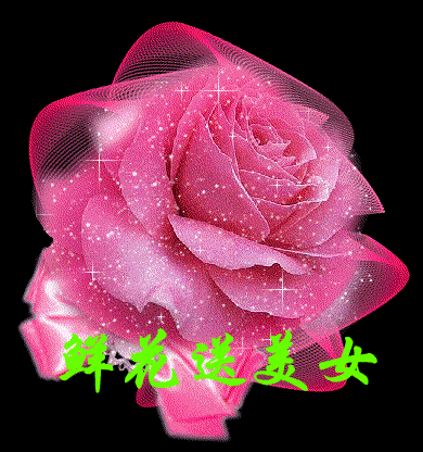 1212031089330_000.gif