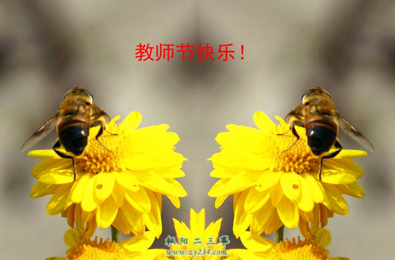 41_15413_0b600d22d1f1475.jpg