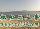 海滩