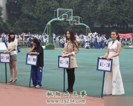 3_530a1b8a115c9f818c8fe44de628b8fb_430.jpg