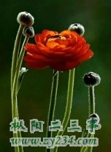 f_a4j2ms9286259269488.jpg