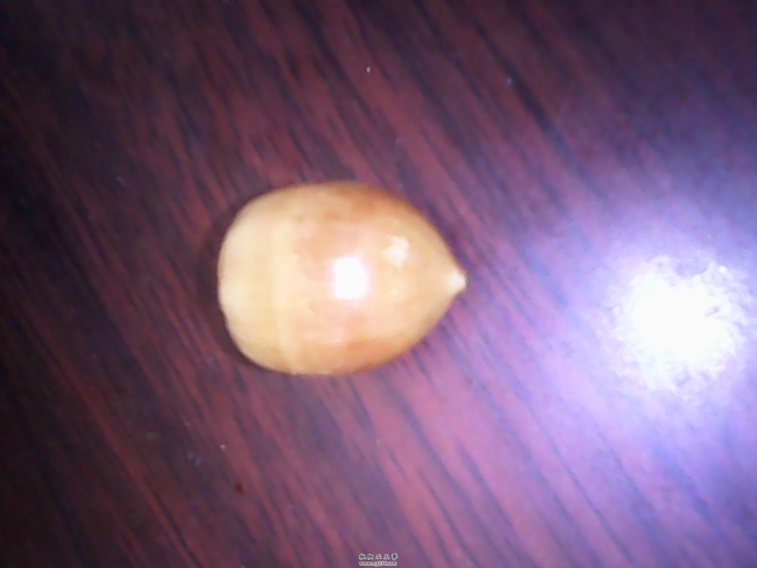 IMG_20131028_092806.jpg
