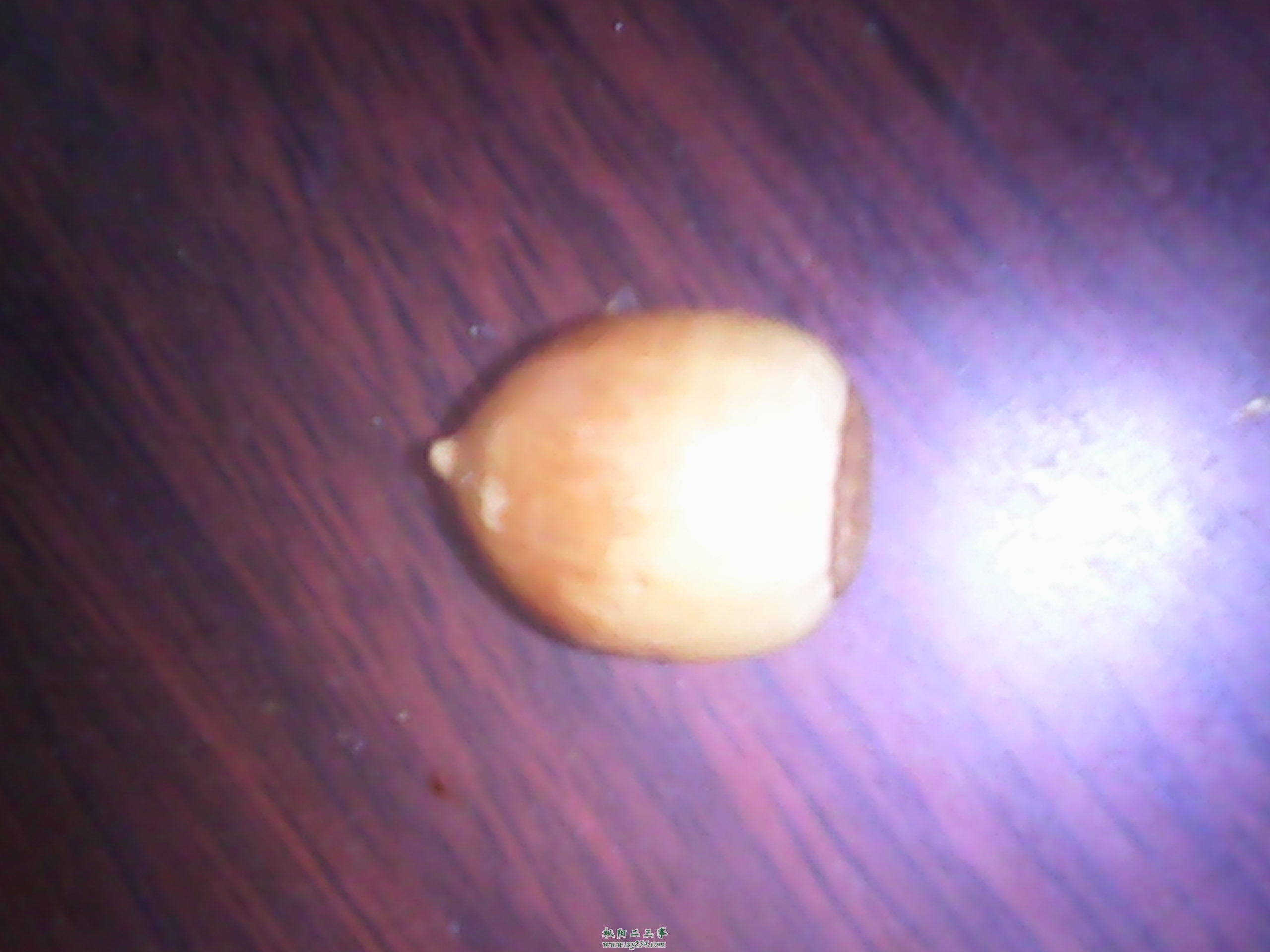 IMG_20131028_092754.jpg