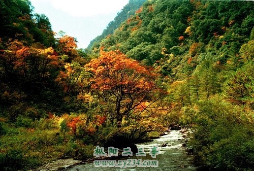 baoxingfall.jpg