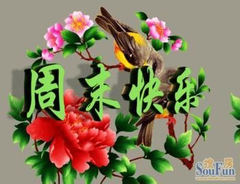 QQ图片20131027112156.jpg