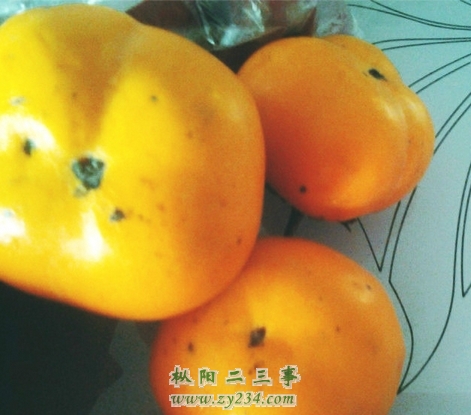 搜狗截图13年12月30日1038_8.jpg