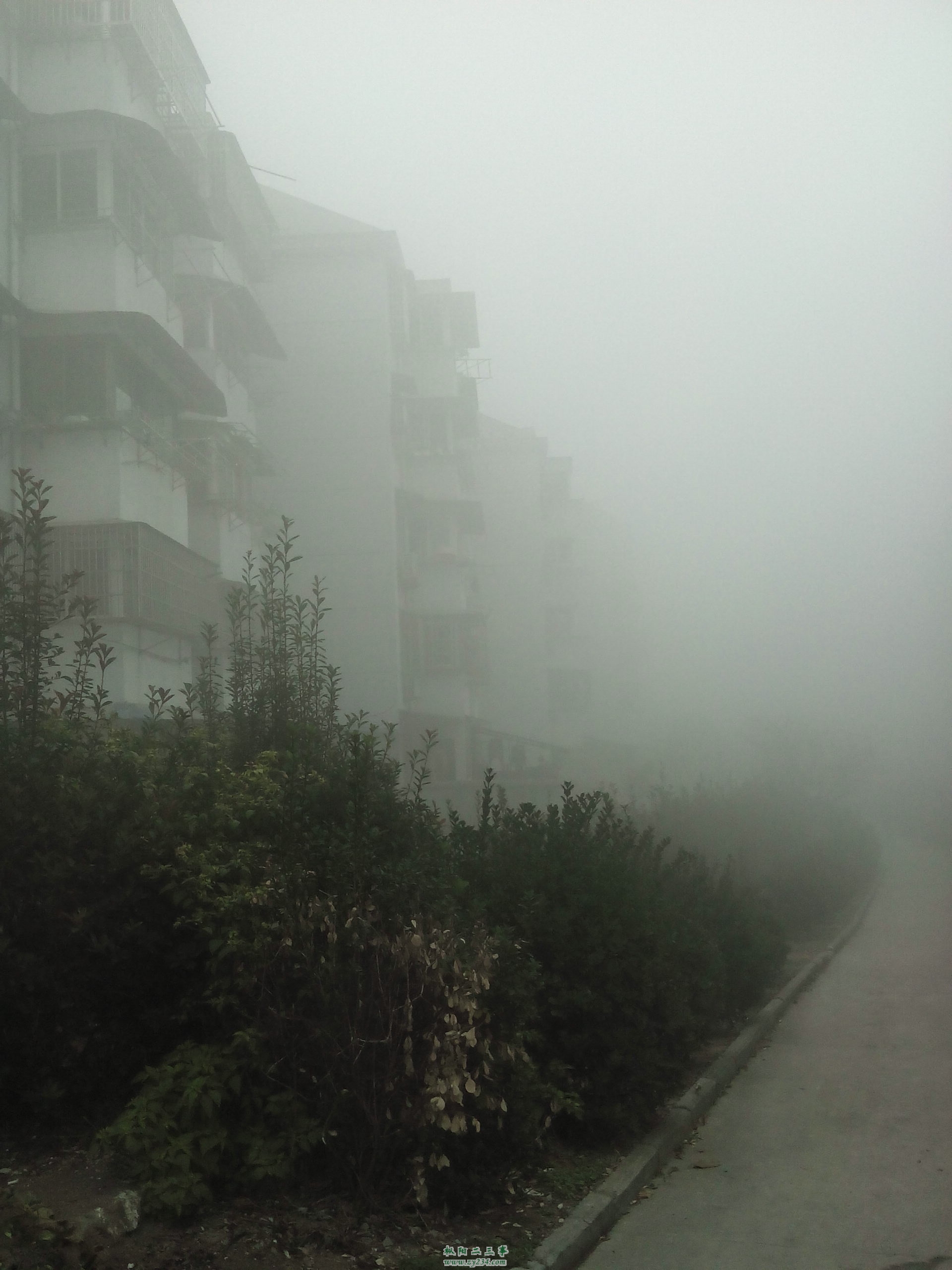 IMG20131205074853.jpg