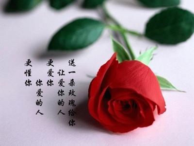 t01b6f5e8a1e8889c31.jpg