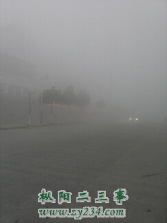 枞阳大雾.jpg