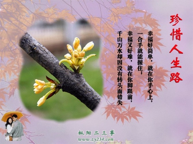 美图美文26.jpg