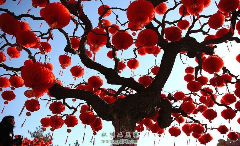QQ图片20140205213918.jpg