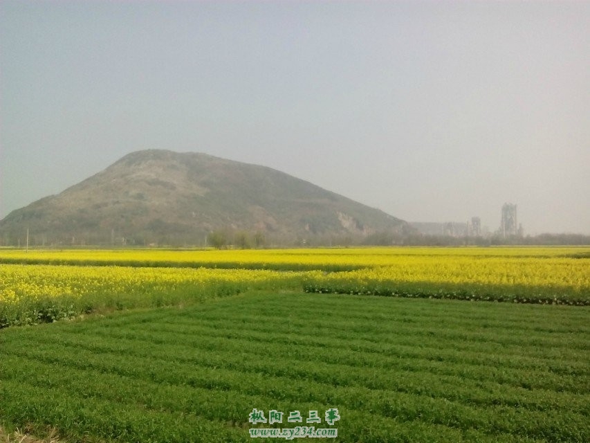 QQ图片20140317205212.jpg