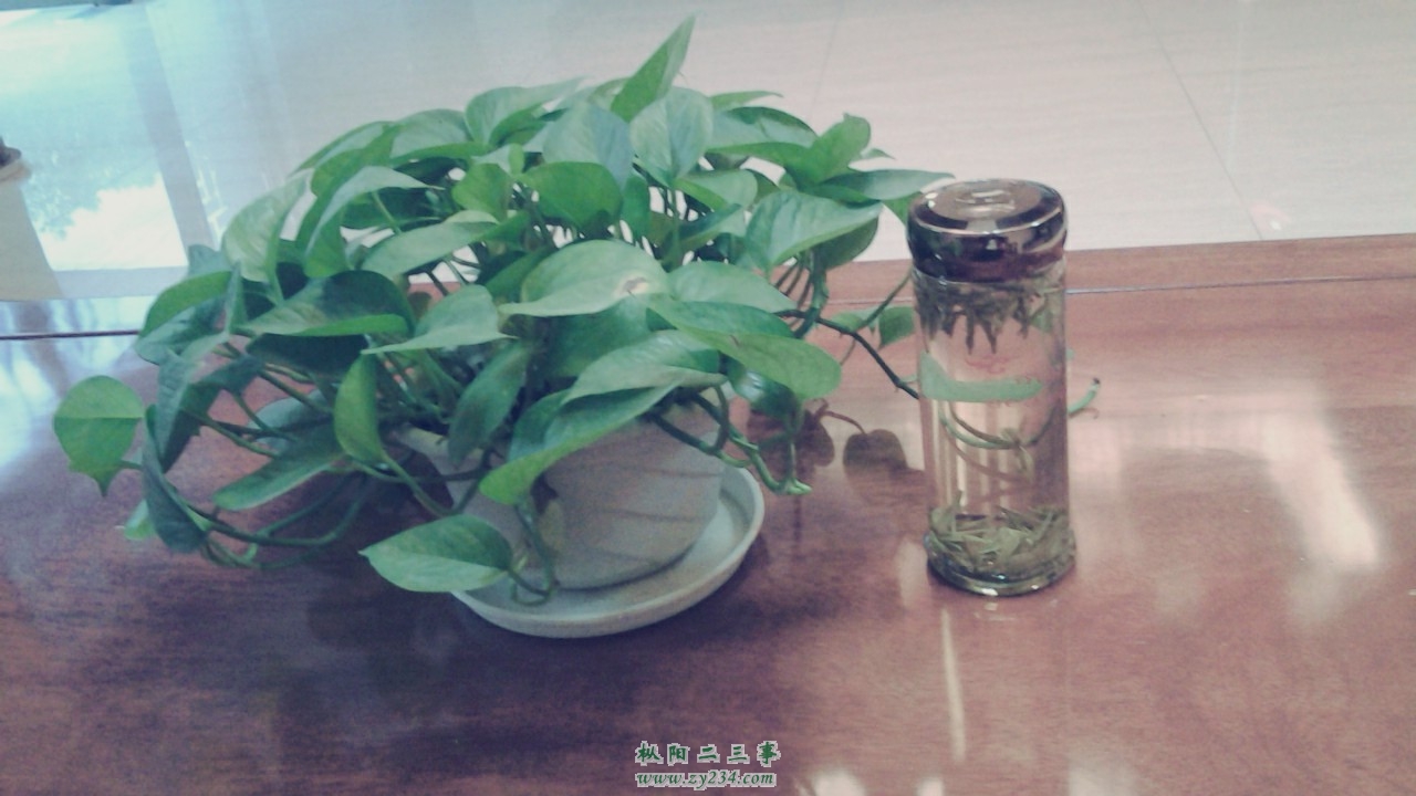 QQ图片20140331182945.jpg