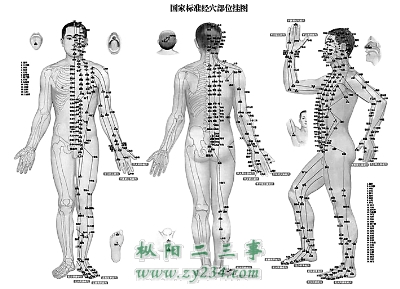 人体穴位.jpg