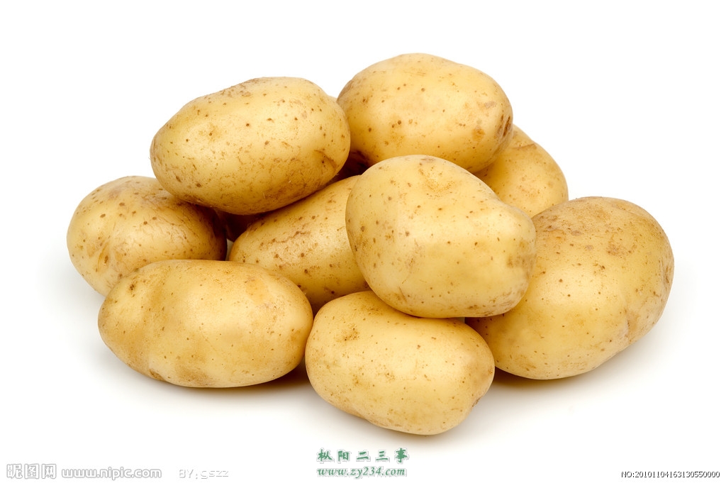 土豆1.jpg