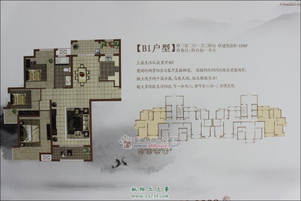 YL9111013115957.jpg