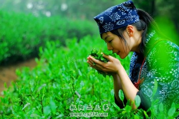 QQ图片20140422113156.jpg