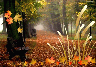 QQ图片20140406101619.gif