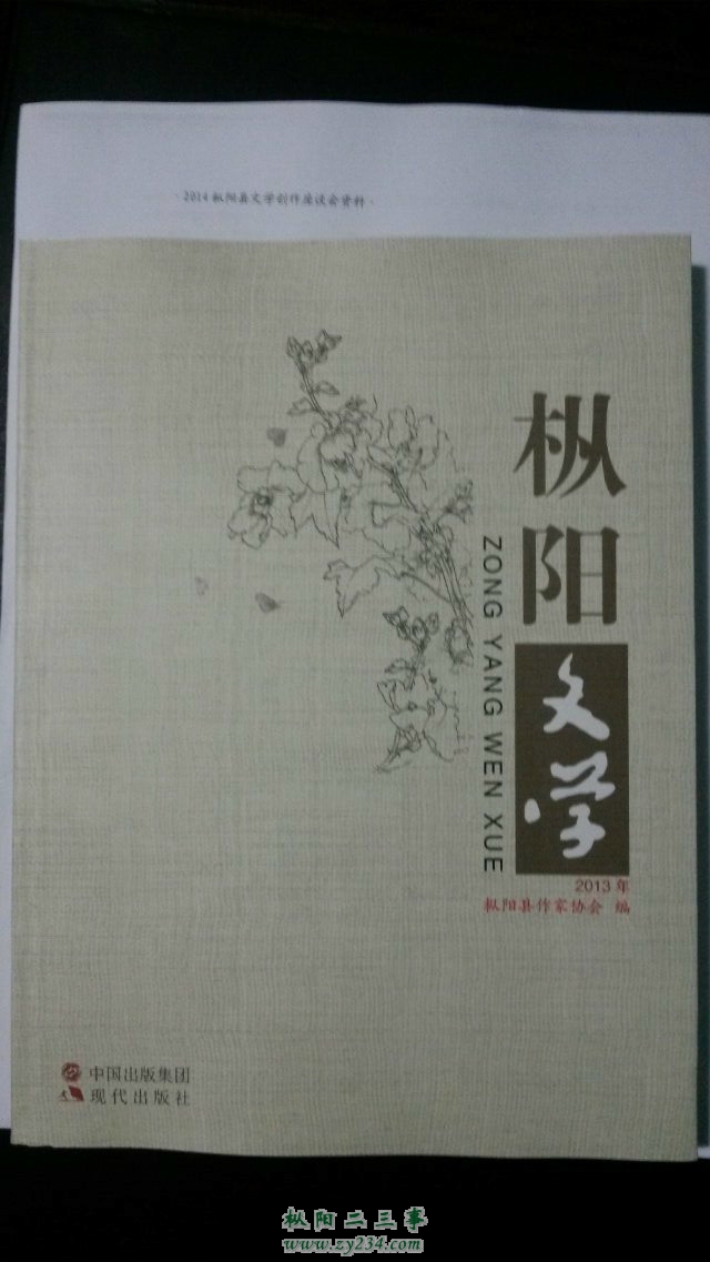 枞阳文学.jpg