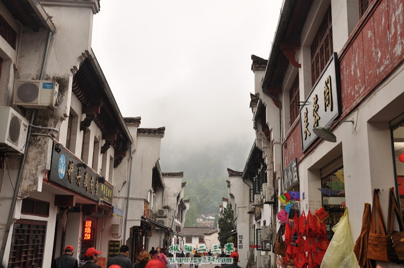 DSC_00911_副本.jpg