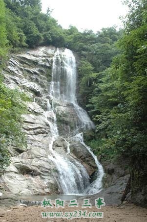 117.jpg