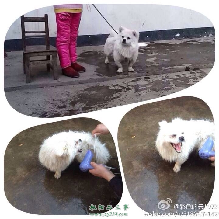 QQ图片20140405191409.jpg