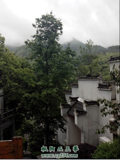 IMG_20140420_094752.jpg