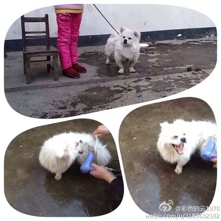 QQ图片20140405191409.jpg