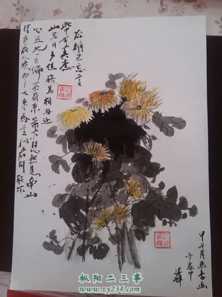 菊花