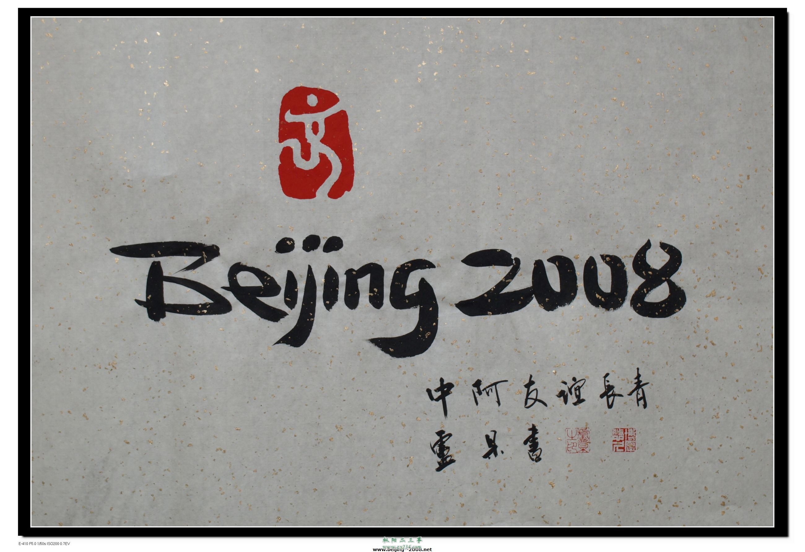 2008北京夏季奥运会活动回顾&nbsp;&nbsp;(3).jpg