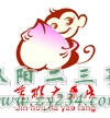 金猴大药房 副本.jpg