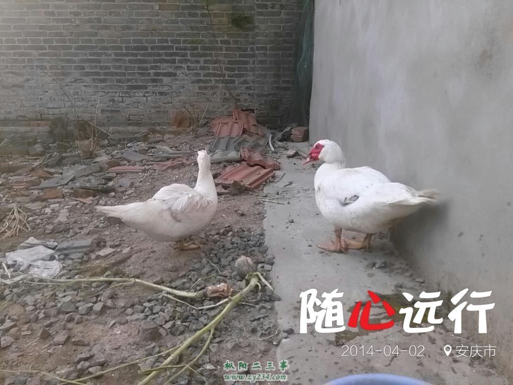 请输入描述