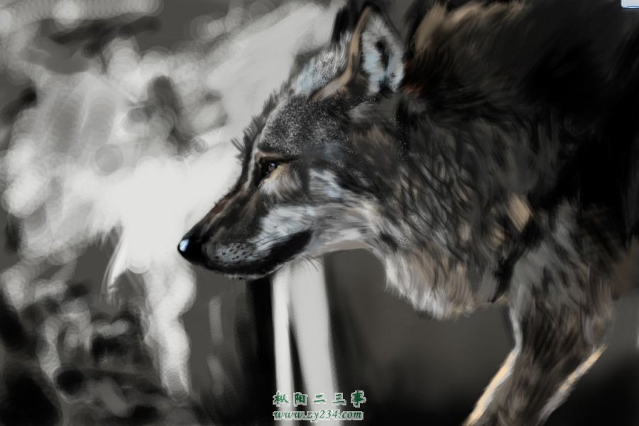m_1276776066086.jpg