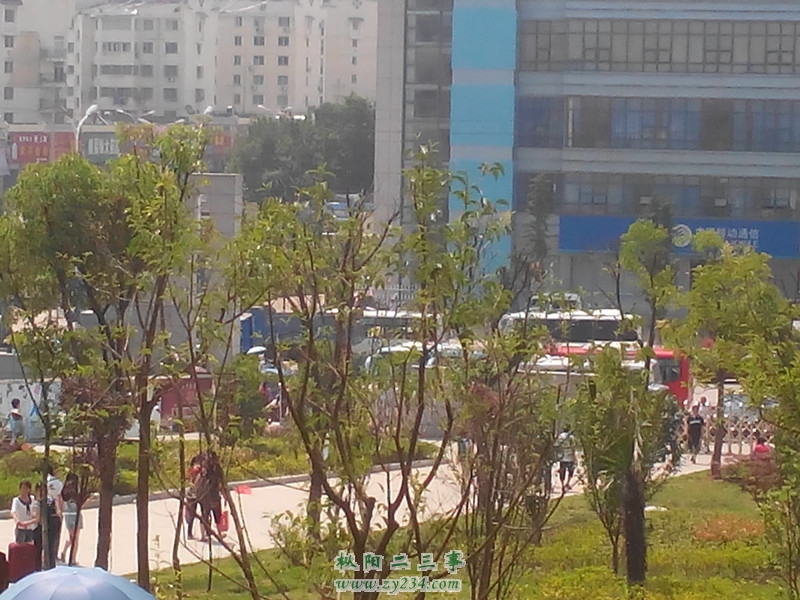 IMG_20140604_101307_副本.jpg