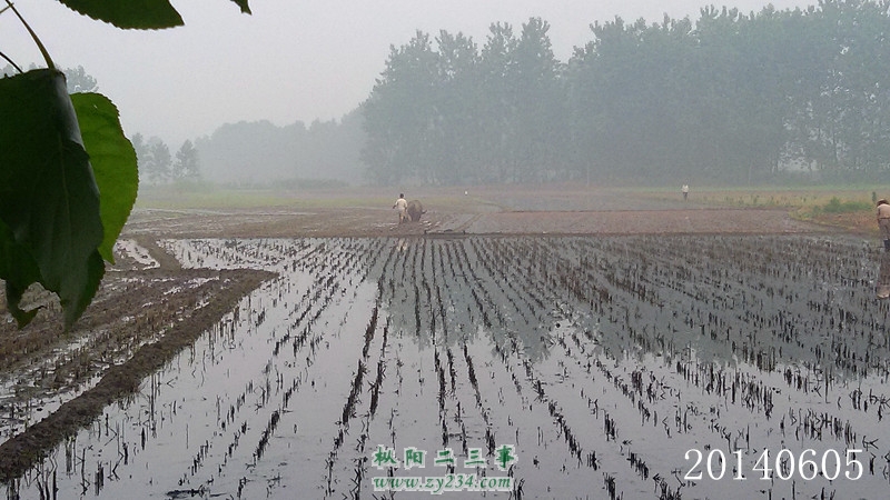 QQ图片20140605062230_副本.jpg