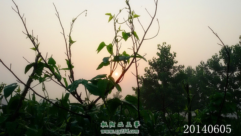 QQ图片20140605062224_副本_副本.jpg
