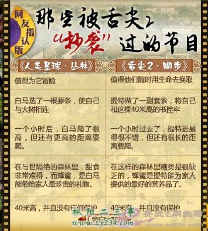 请输入描述